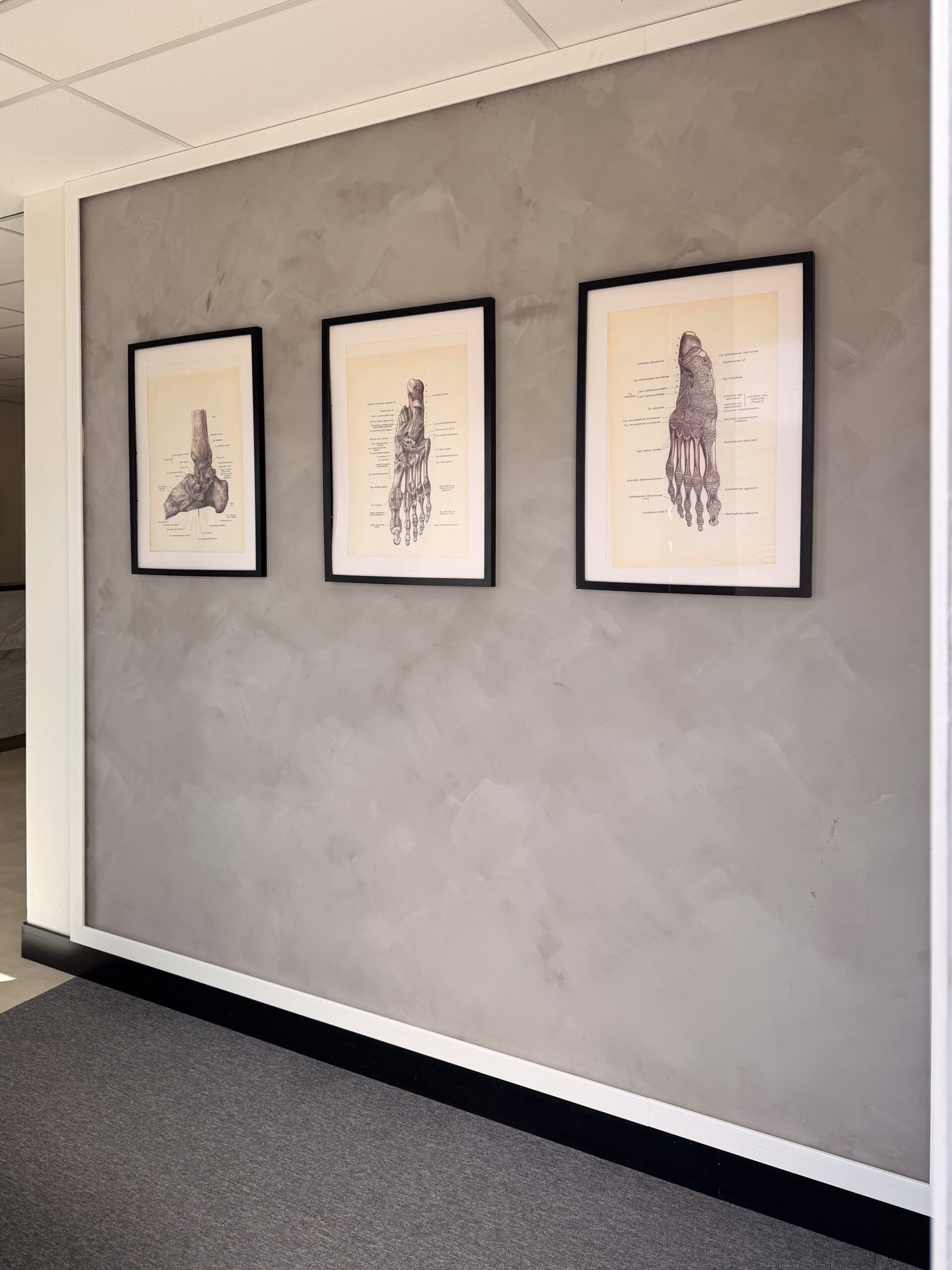 DLS10 gallery